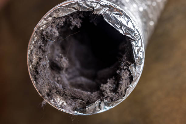 Best Home Air Vent Cleaning  in Shorewood Tower Hills Harbert, MI
