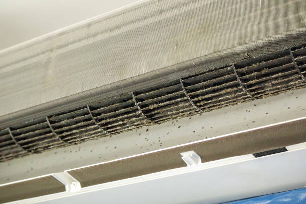 Best Affordable Duct Cleaning Services  in Shorewood Tower Hills Harbert, MI
